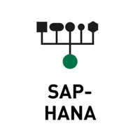 Data-Store-SAP-HANA