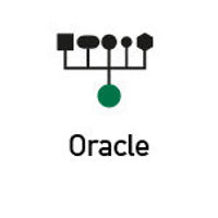 Picture of ibaPDA-Data-Store-Oracle-64