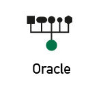 Picture of ibaPDA-Data-Store-Oracle-4096