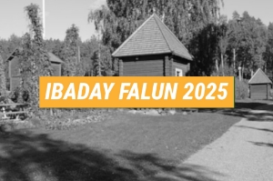 Bild för kategori iba-dagen 2025